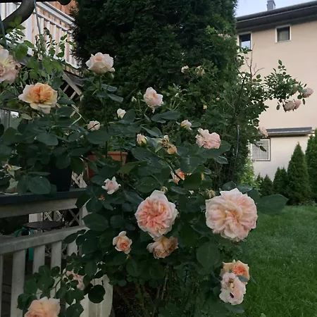 Sissy Appartement Kössen