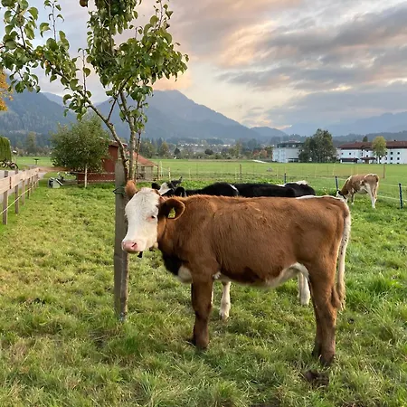 Sissy Kössen